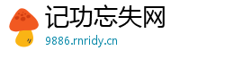 记功忘失网